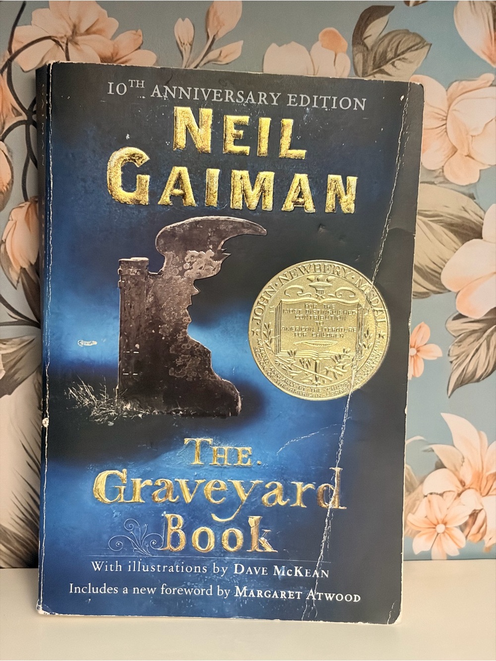 Neil Gaiman Book Lot Stardust + The Graveyard Book 10th Anniversary Edition